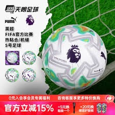 国米赢得意甲奖金最高的荣誉